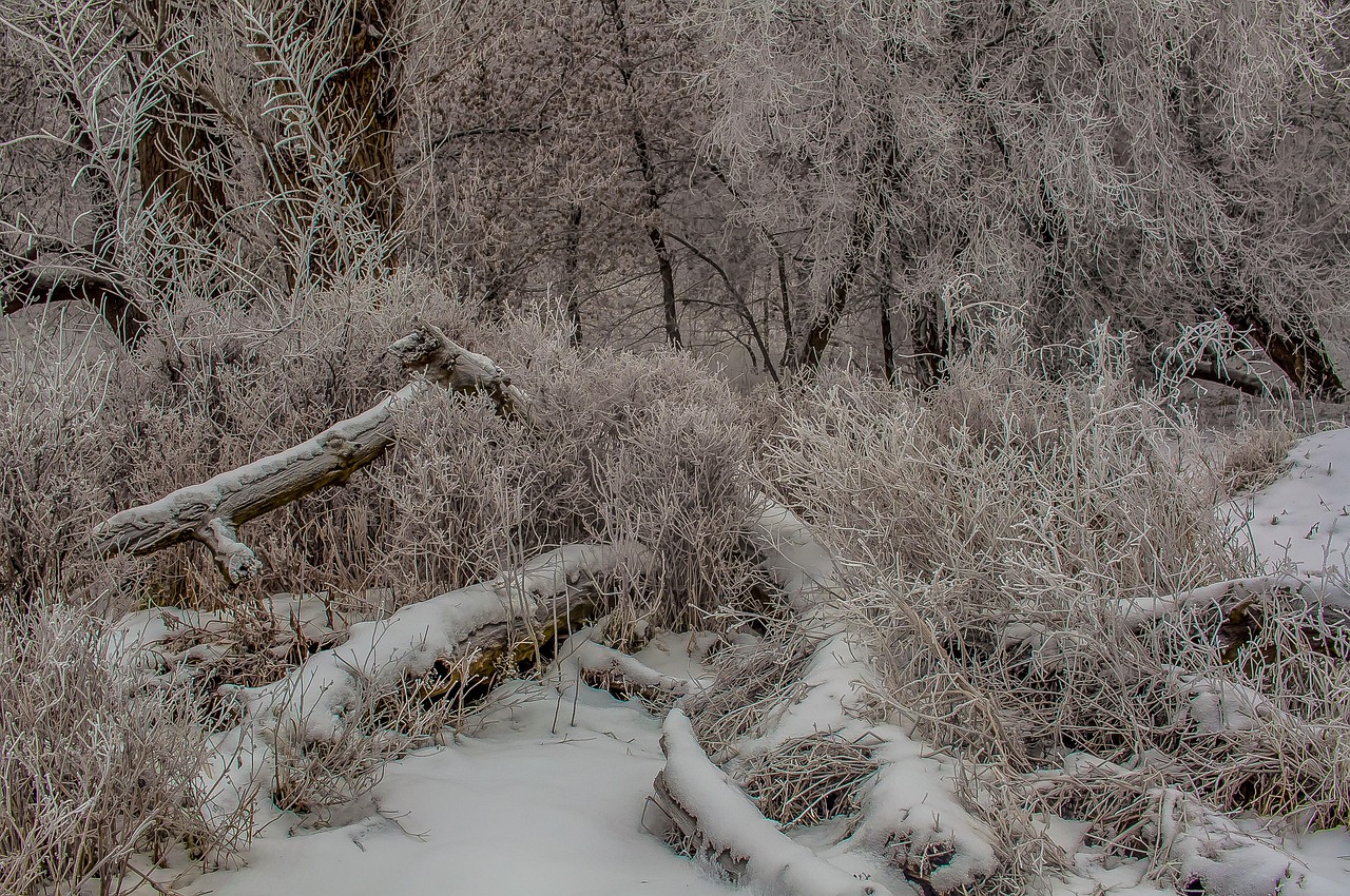 银川地震